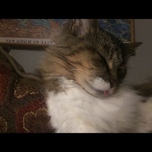 Meet your Posher, Audrey